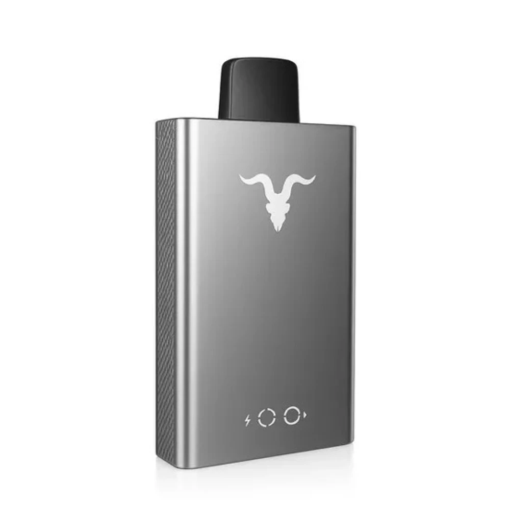 Ignite V80 NE Black Chrome Watermelon Ice 8.000 Puffs