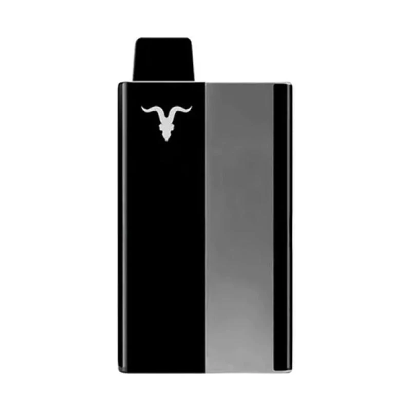 Ignite P100 Kit Metalic Gray Watermelon 10.000 Puffs