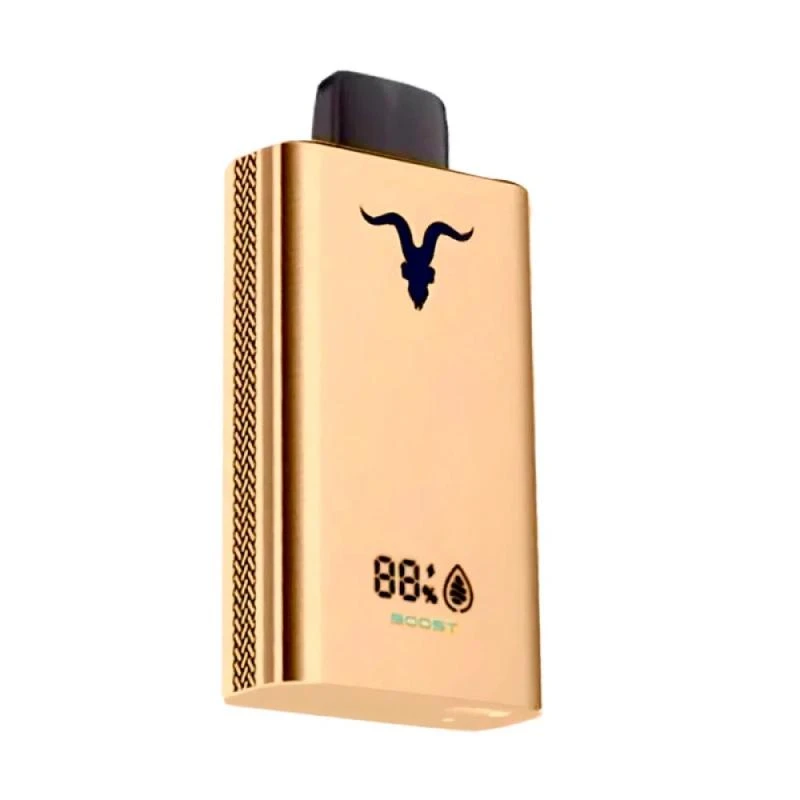 Ignite V120 Pro Gold Peach Ice 12.000 Puffs